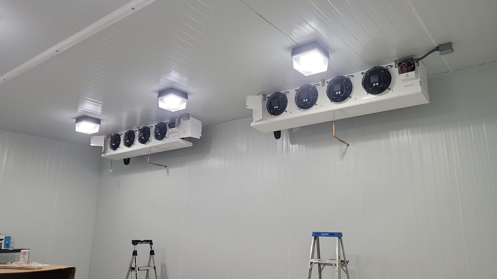 Interior of a commercial walk-in cooler with ceiling-mounted evaporator units