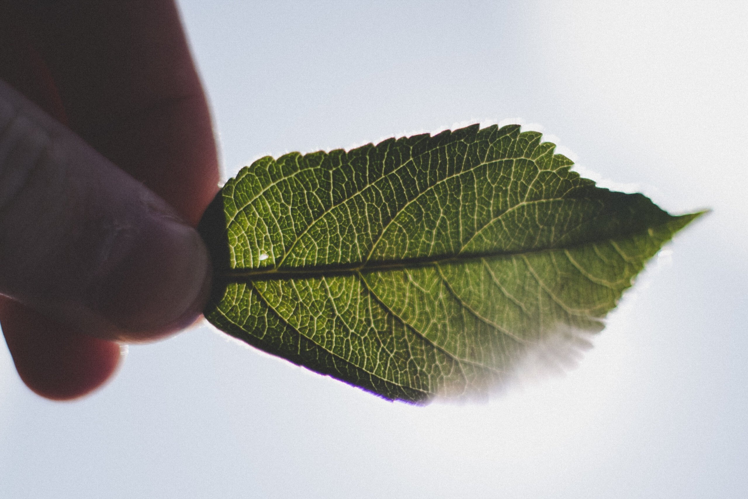Reducing Carbon Footprint. Imagen created by Freepik