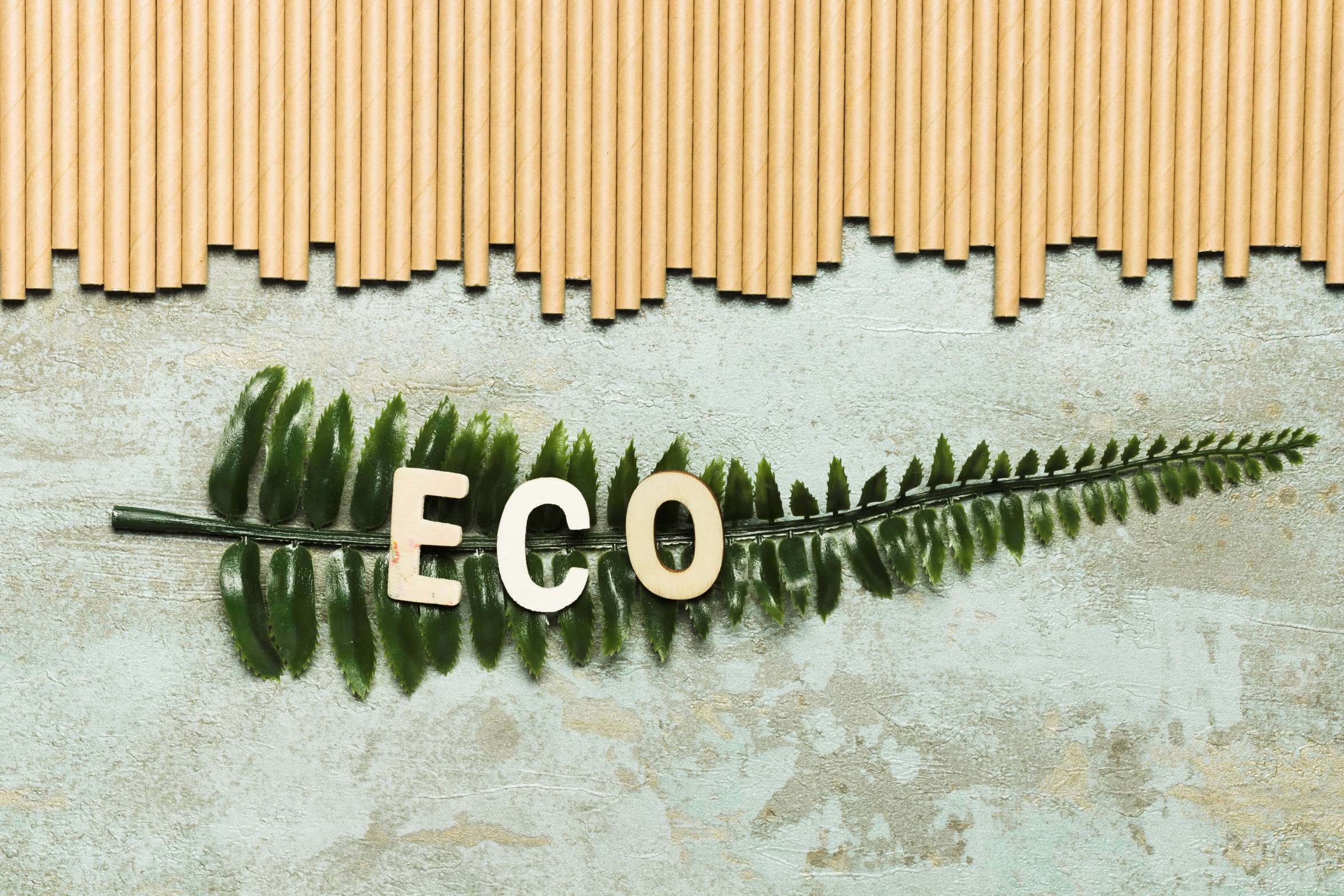 CO2 refrigeration future
