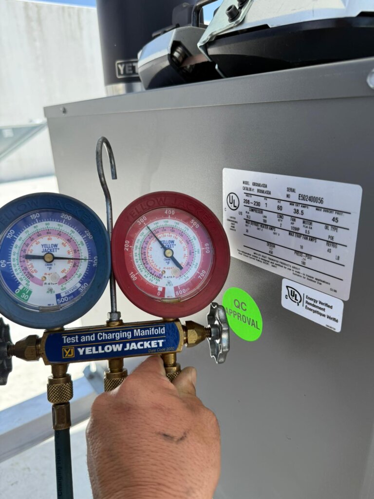 WhatsApp Image 2025 07 20 at 01.27.22 2